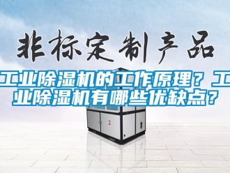 常见问题工业除湿机的工作原理？工业除湿机有哪些优缺点？
