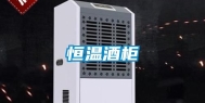 恒温酒柜