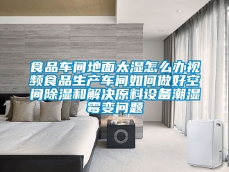 企业新闻食品车间地面太湿怎么办视频食品生产车间如何做好空间除湿和解决原料设备潮湿霉变问题