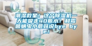 潮湿救星！这个除湿机一天能吸走40瓶水！和霉菌螨虫小蘑菇说bye bye！