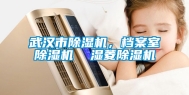 武汉市除湿机，档案室除湿机  湿菱除湿机
