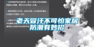 老天冒汗不可怕家居防潮有妙招