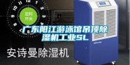 广东阳江游泳馆吊顶除湿机工业SL