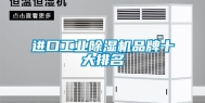 进口工业除湿机品牌十大排名