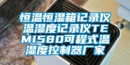 恒温恒湿箱记录仪温湿度记录仪TEMI580可程式温湿度控制器厂家