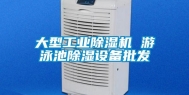 大型工业除湿机 游泳池除湿设备批发