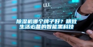 除湿机哪个牌子好？精致生活必备的智能黑科技