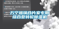 万宁玻璃合片室专用组合型转轮除湿机