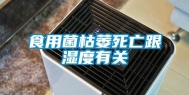 食用菌枯萎死亡跟湿度有关