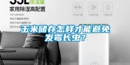 玉米储存怎样才能避免发霉长虫？