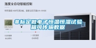 非标定做电子恒温恒湿试验箱可传输数据