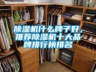 企业新闻除湿机什么牌子好，推荐除湿机十大品牌排行榜排名