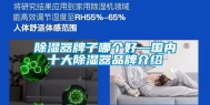 除湿器牌子哪个好—国内十大除湿器品牌介绍