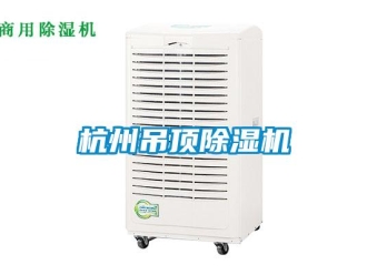 行业新闻杭州吊顶除湿机