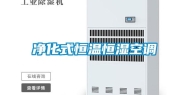 净化式恒温恒湿空调