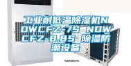 工业耐低温除湿机NDWCFZ-7S NDWCFZ-8.8S 除湿防潮设备