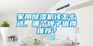 家用除湿机该怎么选，哪个牌子值得推荐？