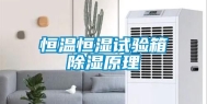 恒温恒湿试验箱除湿原理