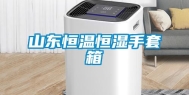 山东恒温恒湿手套箱