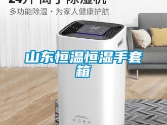 知识百科山东恒温恒湿手套箱