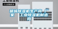 盐城除湿机生产商 厂家  工业除湿机制造商