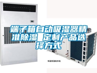 行业新闻端子箱自动吸湿器精准除湿 定制产品选择方式