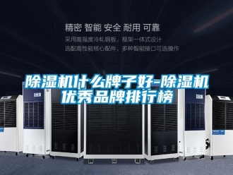 企业新闻除湿机什么牌子好-除湿机优秀品牌排行榜