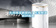 东莞除湿机图片／东莞除湿机样板图