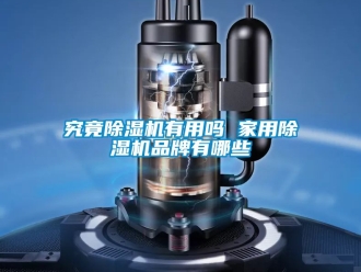 企业新闻究竟除湿机有用吗 家用除湿机品牌有哪些