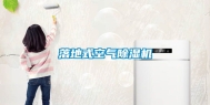 落地式空气除湿机