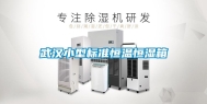 武汉小型标准恒温恒湿箱
