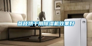 荔枝烘干用除湿机效果好