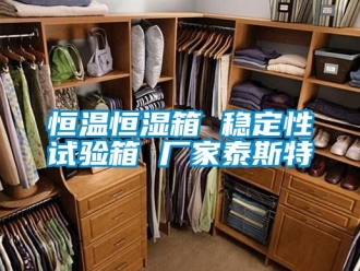 知识百科恒温恒湿箱 稳定性试验箱 厂家泰斯特