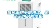 葡萄干烘干需排湿，葡萄干烘房除湿机