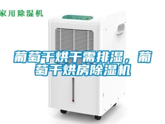 行业新闻葡萄干烘干需排湿，葡萄干烘房除湿机