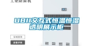 UBII交互式恒温恒湿透明展示柜