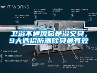 常见问题卫浴不通风总是湿又臭，9大妙招防潮除臭最有效