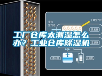 常见问题工厂仓库太潮湿怎么办？工业仓库除湿机