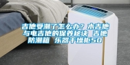 吉他受潮了怎么办？木吉他与电吉他的保养秘诀 吉他防潮箱 乐器干燥柜50