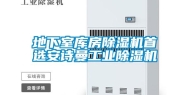 地下室库房除湿机首选安诗曼工业除湿机