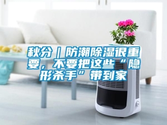 常见问题秋分｜防潮除湿很重要，不要把这些“隐形杀手”带到家