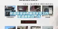 恒温恒湿培养箱可实现工作室温度的均一性