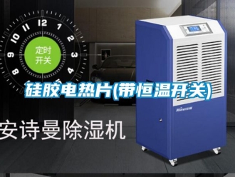 知识百科硅胶电热片(带恒温开关)