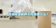 恒温除湿机的工作原是什么？