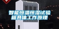 智能恒温恒湿试验箱具体工作原理