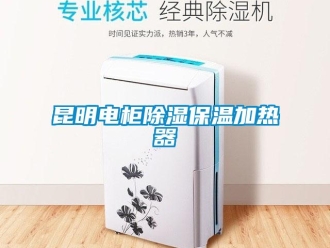 行业新闻昆明电柜除湿保温加热器