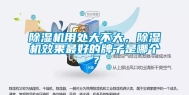 除湿机用处大不大，除湿机效果最好的牌子是哪个？