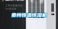 贵州恒温恒湿机
