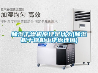 企业新闻除湿干燥机原理是什么(除湿机干燥机工作原理图)