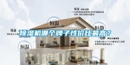 除湿机哪个牌子性价比最高？